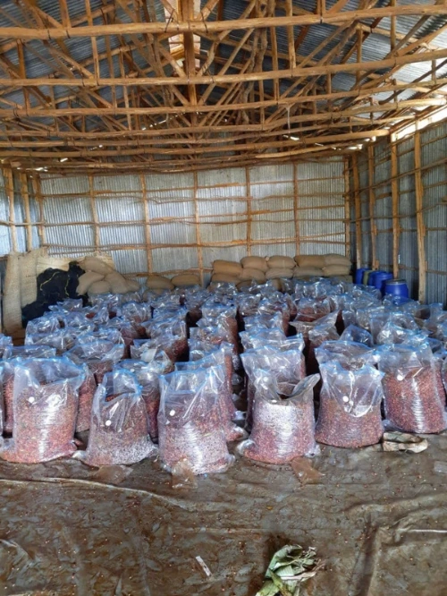 anarobic.jpg?w=1000&h=1000&fit=clip