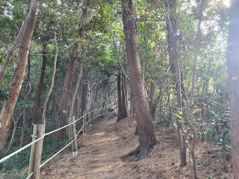 KakaoTalk_20240110_072955506.jpg?type=w773