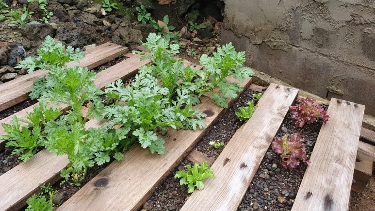 KakaoTalk_20240225_074728988_07.jpg?type=w773