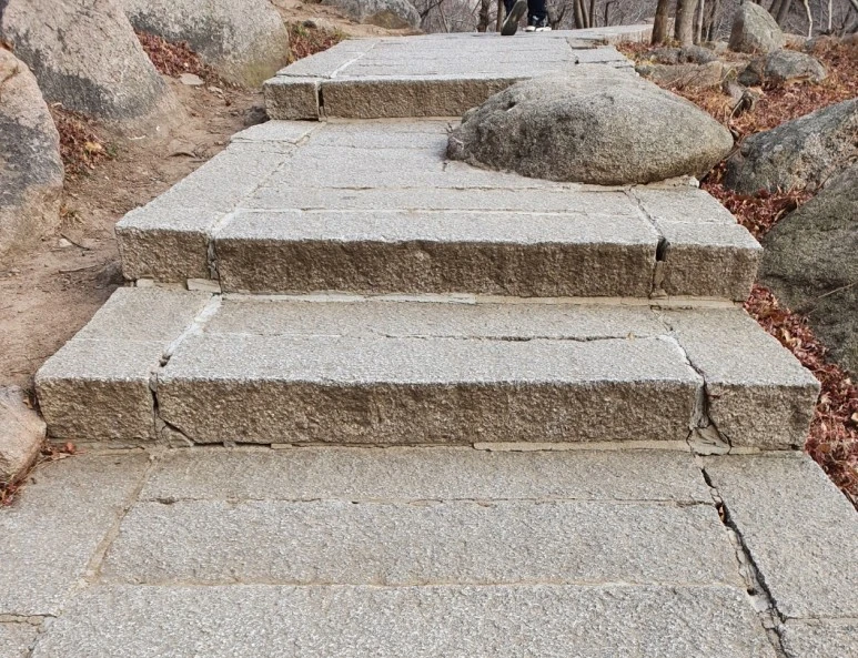 SE-258b7641-905b-4a11-95bd-b4c944eeec15.jpg?type=w773