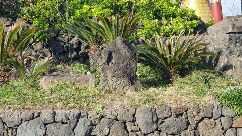 KakaoTalk_20250412_073732087_04.jpg?type=w773