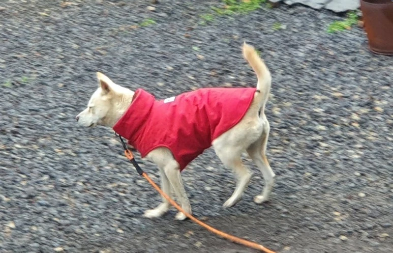 SE-d824eeed-3e55-4183-8aa8-5244c7572ae3.jpg?type=w773