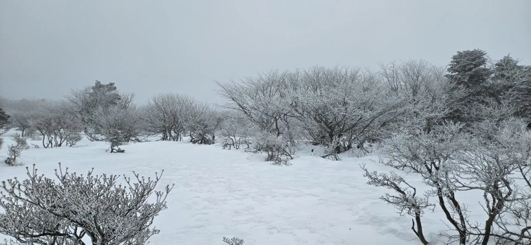 KakaoTalk_20240104_062941567.jpg?type=w773