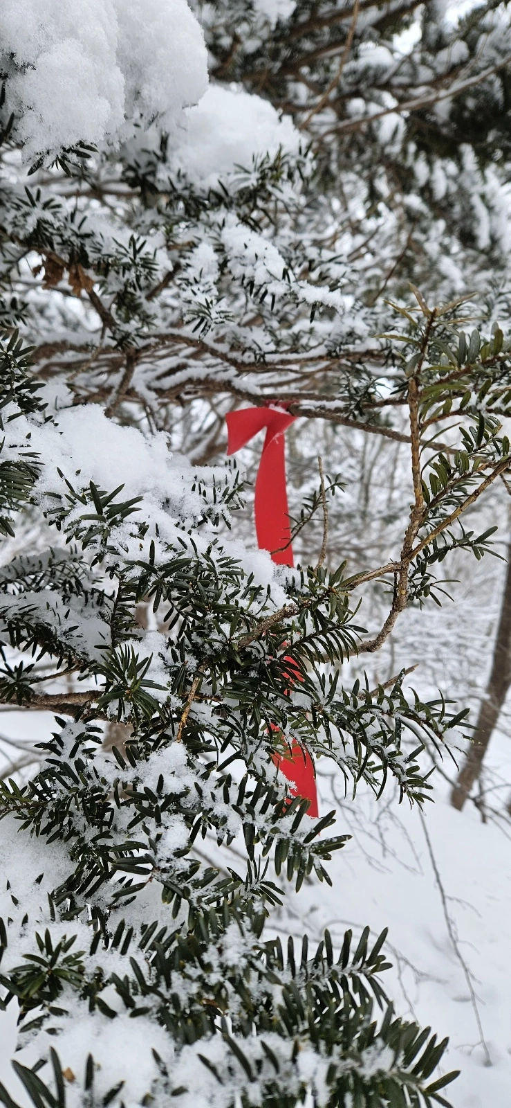 KakaoTalk_20240104_064840173.jpg?type=w773