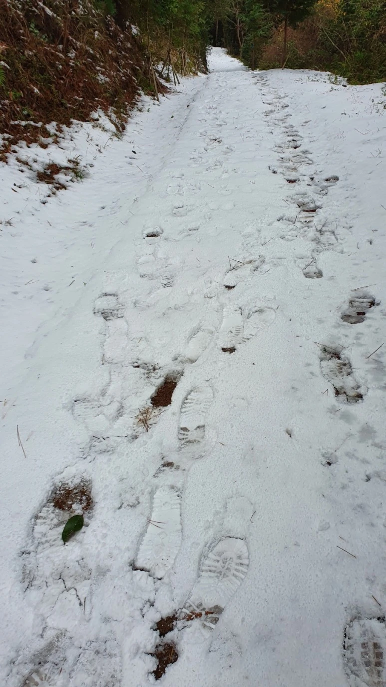 KakaoTalk_20240126_062454874_04.jpg?type=w773