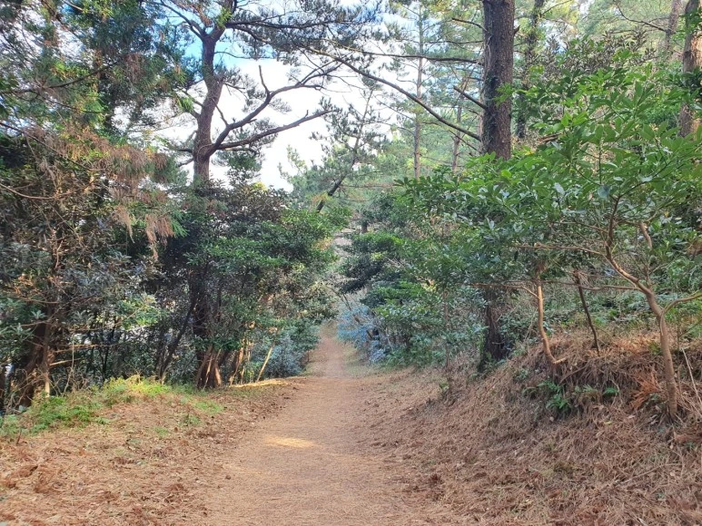 KakaoTalk_20240110_073012843.jpg?type=w773