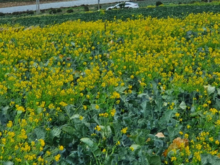 KakaoTalk_20240122_095828427_09.jpg?type=w773