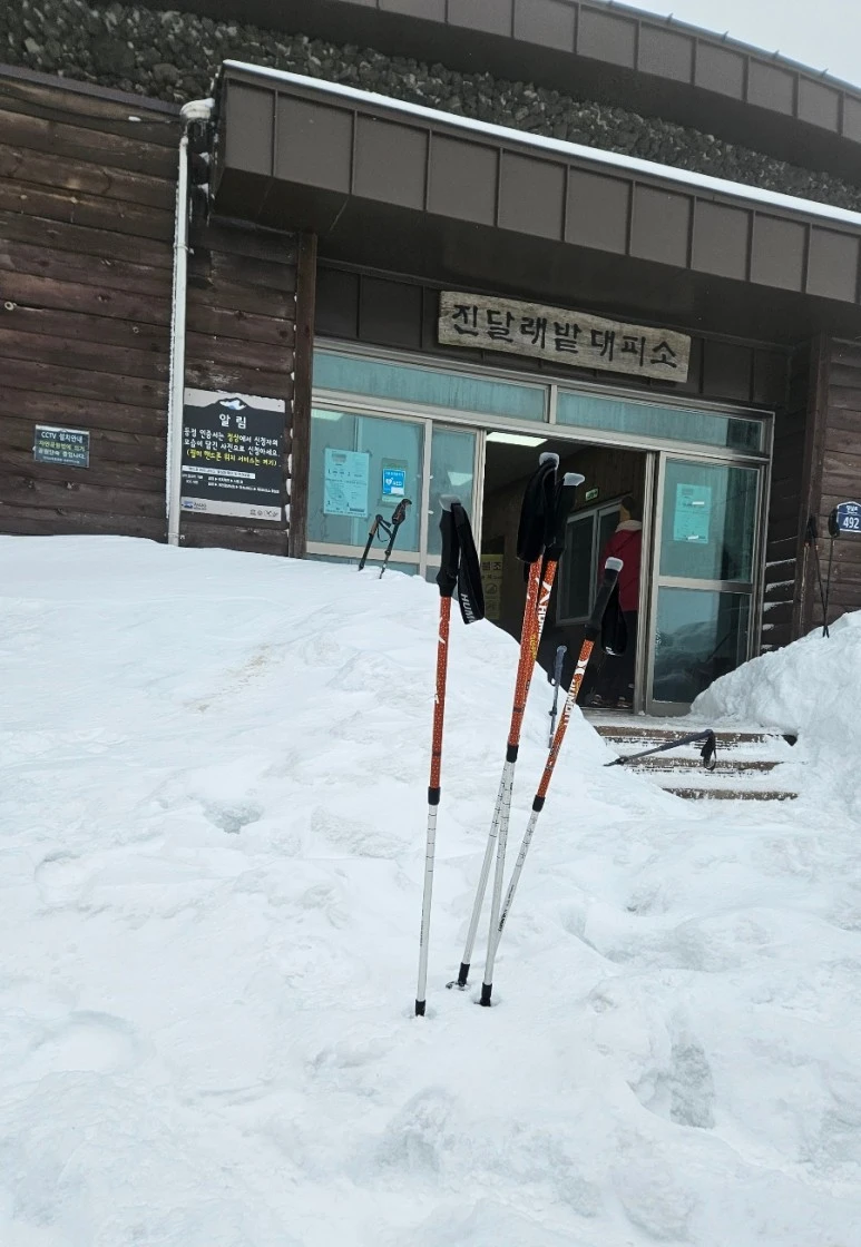 SE-fdf8c963-9b6c-4236-8dda-c2db3d6da226.jpg?type=w773