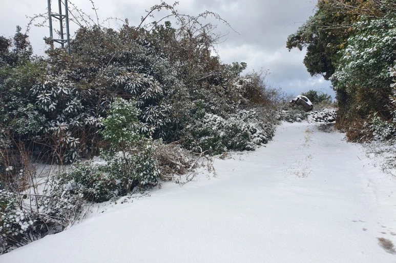 SE-3b48d0e2-1860-48a3-8085-e446c661c864.jpg?type=w773