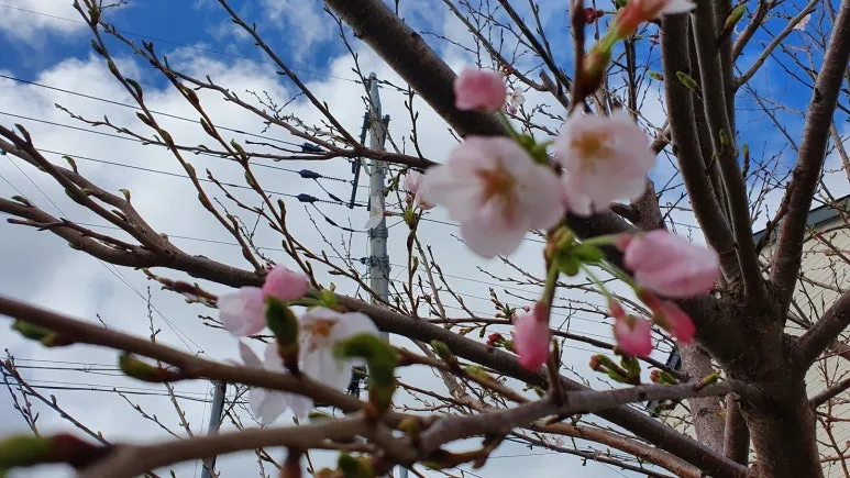 KakaoTalk_20240326_190537647_02.jpg?type=w773&jopt=2