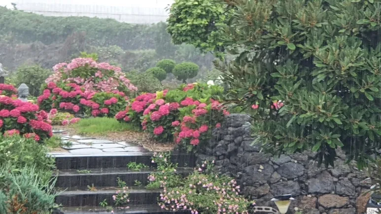 KakaoTalk_20240624_064329550_01.jpg?type=w773