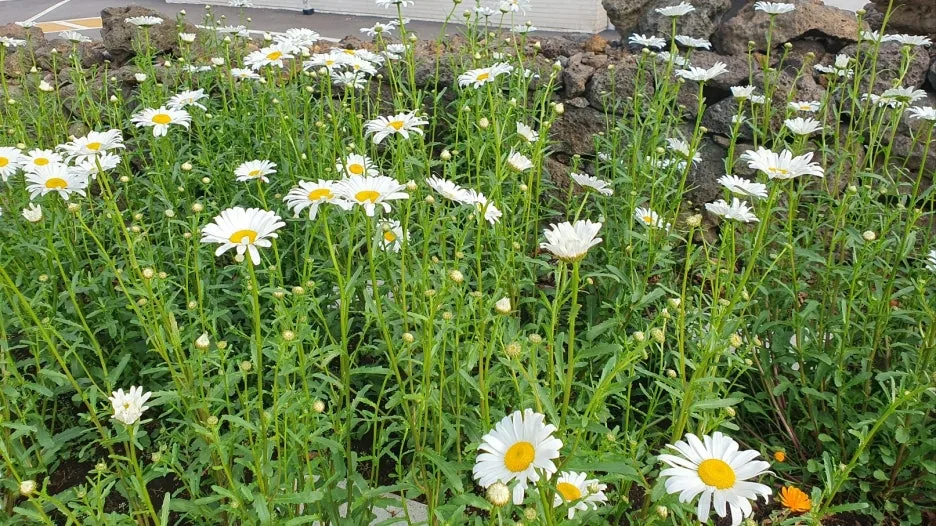 KakaoTalk_20250425_194317758_02.jpg?type=w1