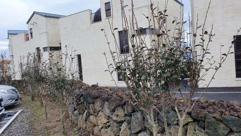 KakaoTalk_20240225_074728988_21.jpg?type=w773