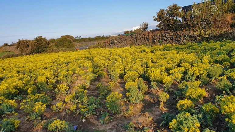 KakaoTalk_20240309_070759237_02.jpg?type=w773