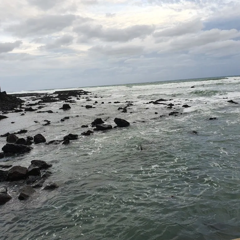 KakaoTalk_20240123_113829576.jpg?type=w773&jopt=2