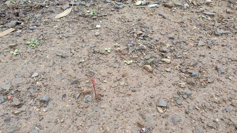 KakaoTalk_20240225_074728988_10.jpg?type=w773