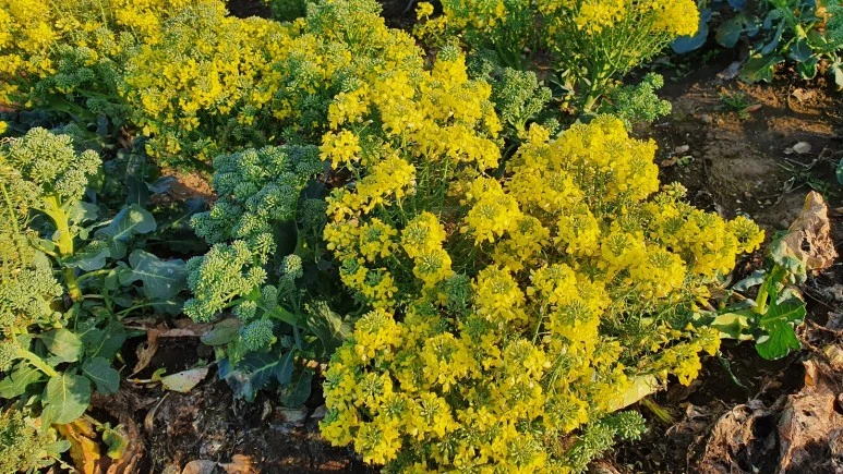 KakaoTalk_20240309_070759237_03.jpg?type=w773