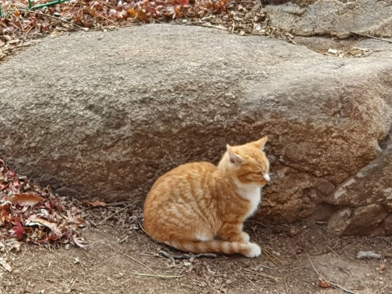 KakaoTalk_20231220_052912007.jpg?type=w773