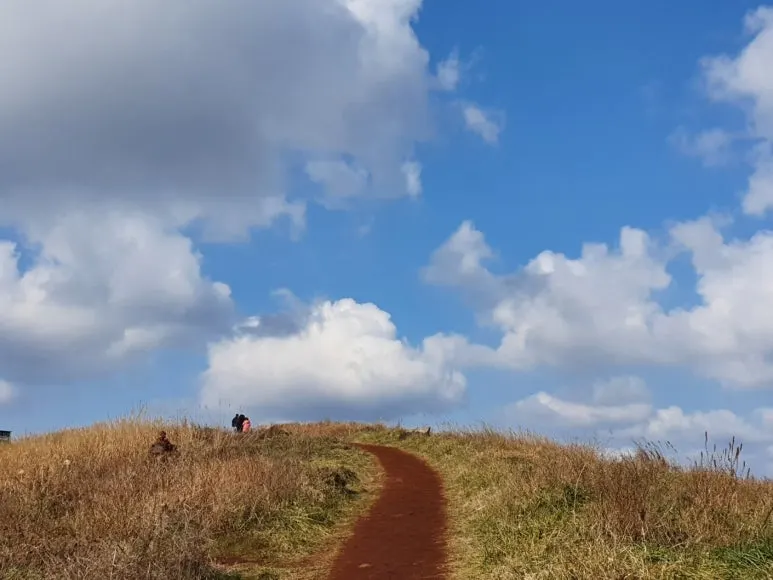 KakaoTalk_20240111_130021832_08.jpg?type=w773&jopt=2