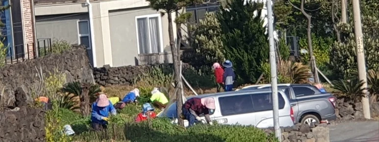 SE-3d3c7cff-7e0e-48dd-81f3-3d9b8442b088.jpg?type=w773