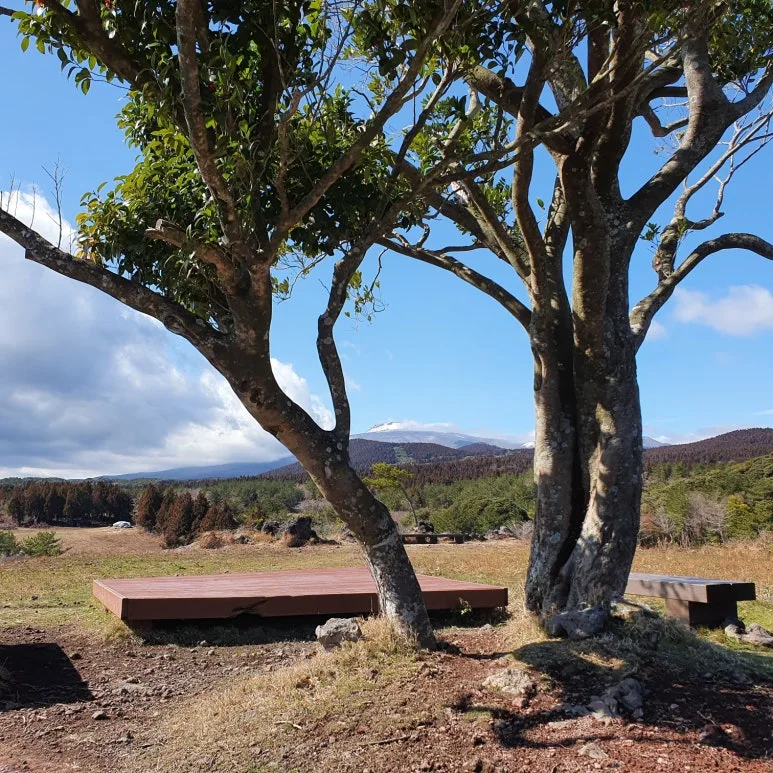 %EB%A8%B8%EC%9E%90%EC%99%882.jpg?type=w773&jopt=2