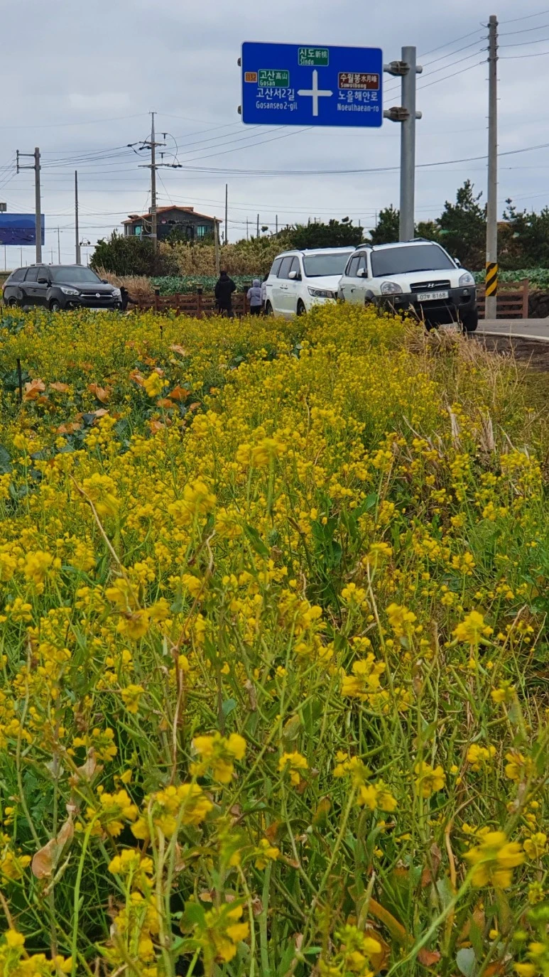 KakaoTalk_20240122_095803272.jpg?type=w773