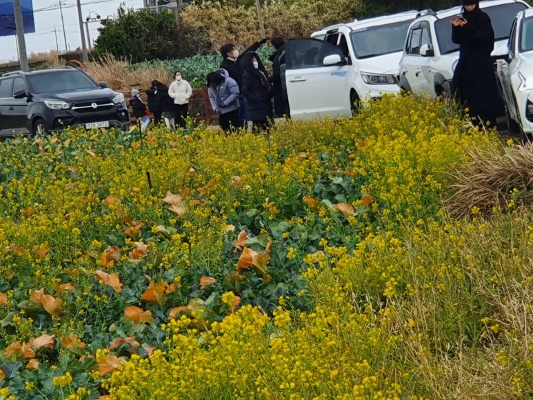 KakaoTalk_20240122_095828427_07.jpg?type=w773