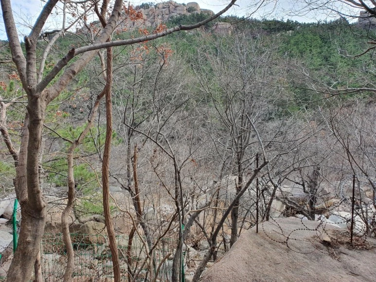 KakaoTalk_20231220_054850130.jpg?type=w773