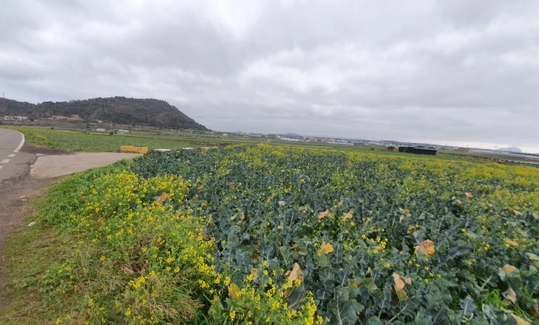 KakaoTalk_20240122_095828427_06.jpg?type=w773