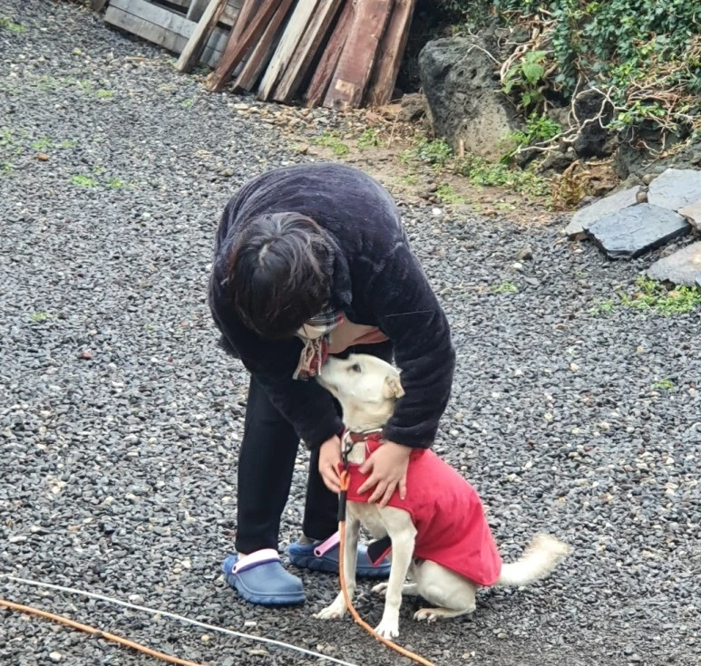 SE-76ca7854-2066-43ec-8f67-d87cc7d9fe1b.jpg?type=w773