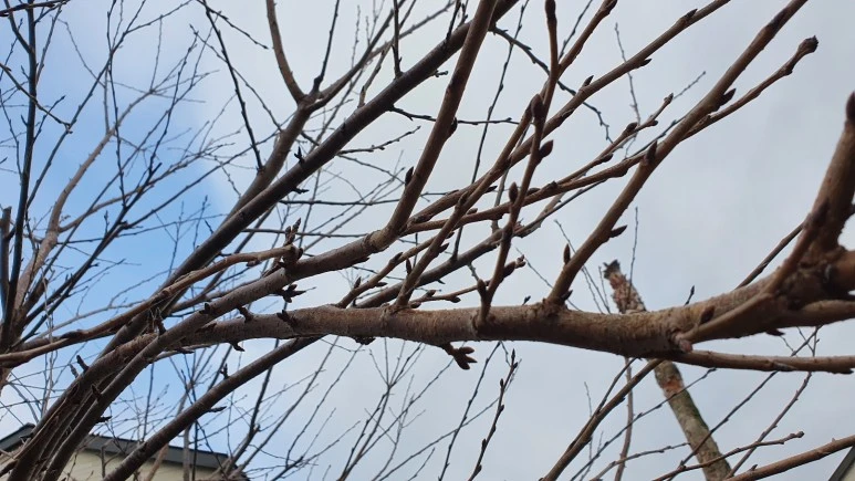 KakaoTalk_20240225_074728988_22.jpg?type=w773