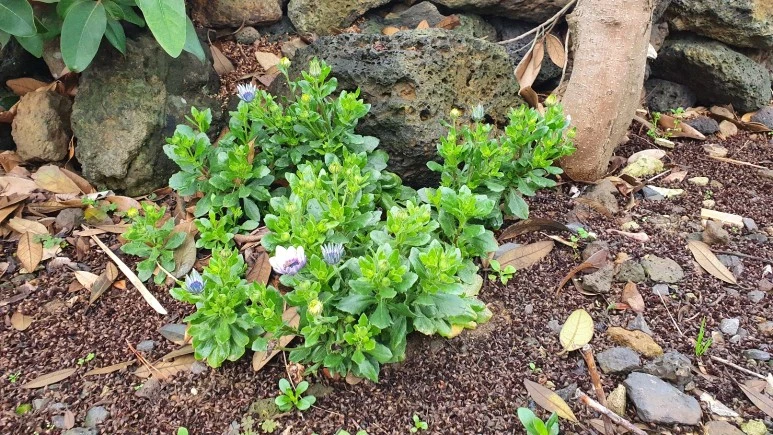 KakaoTalk_20240225_074728988_12.jpg?type=w773