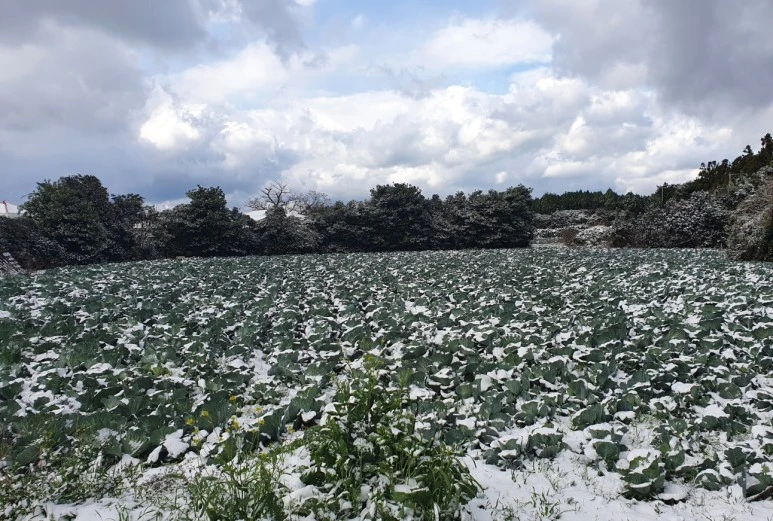 SE-6b46717a-0c1f-44bd-9b64-4e7c456ecd66.jpg?type=w773