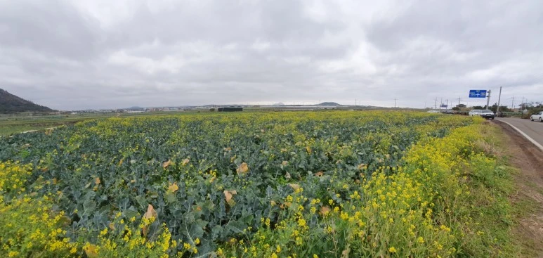 KakaoTalk_20240122_095828427_05.jpg?type=w773