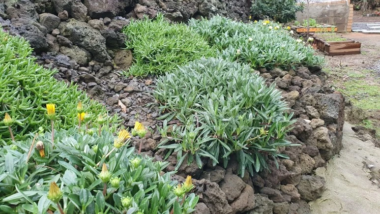 KakaoTalk_20240225_074728988_05.jpg?type=w773