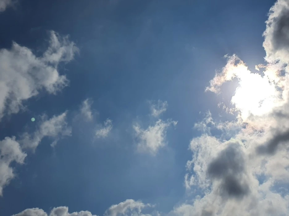 KakaoTalk_20240111_130021832_05.jpg?type=w1