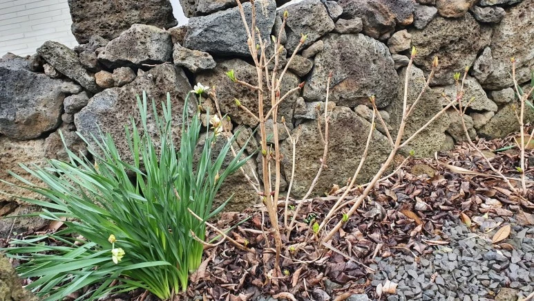 KakaoTalk_20240225_074728988_18.jpg?type=w773