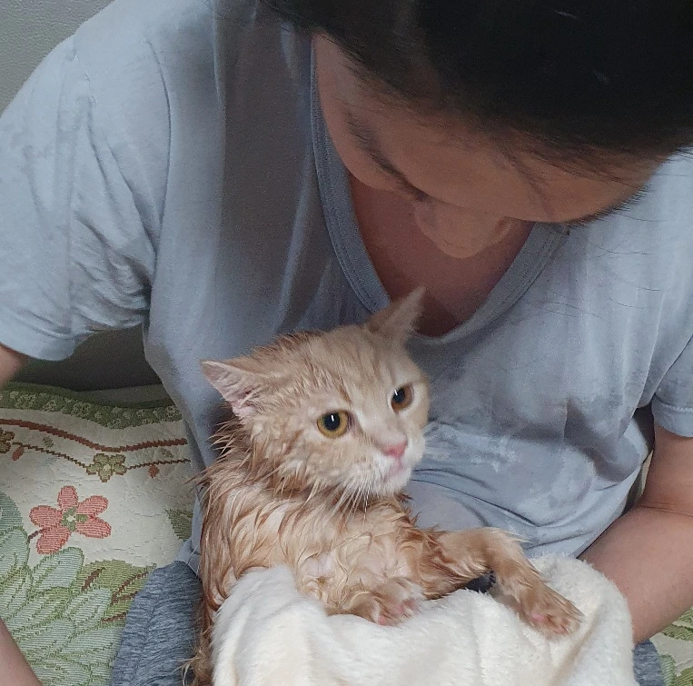 SE-96200de9-186d-4416-b127-96352ec96b0d.jpg?type=w773