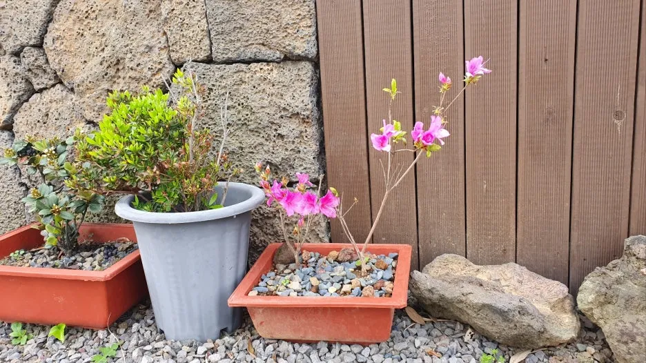 KakaoTalk_20250425_194317758_01.jpg?type=w1