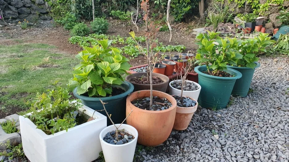 KakaoTalk_20250426_065343709_01.jpg?type=w1