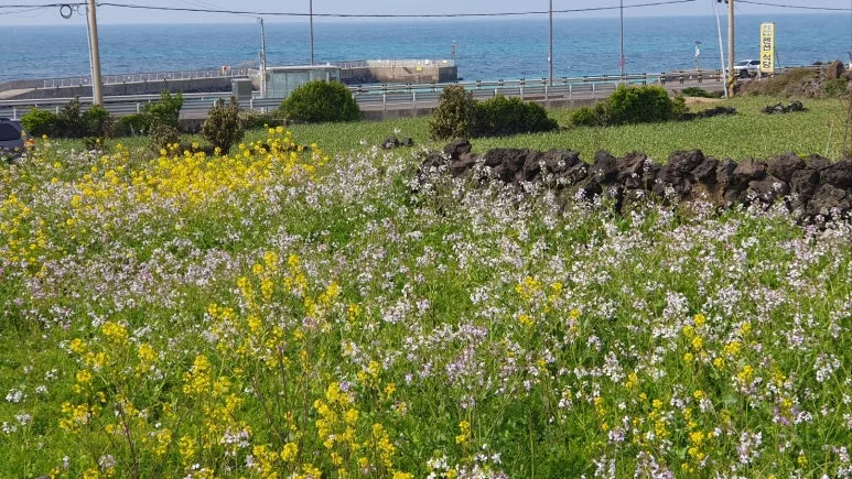 KakaoTalk_20250403_193045417_08.jpg?type=w773