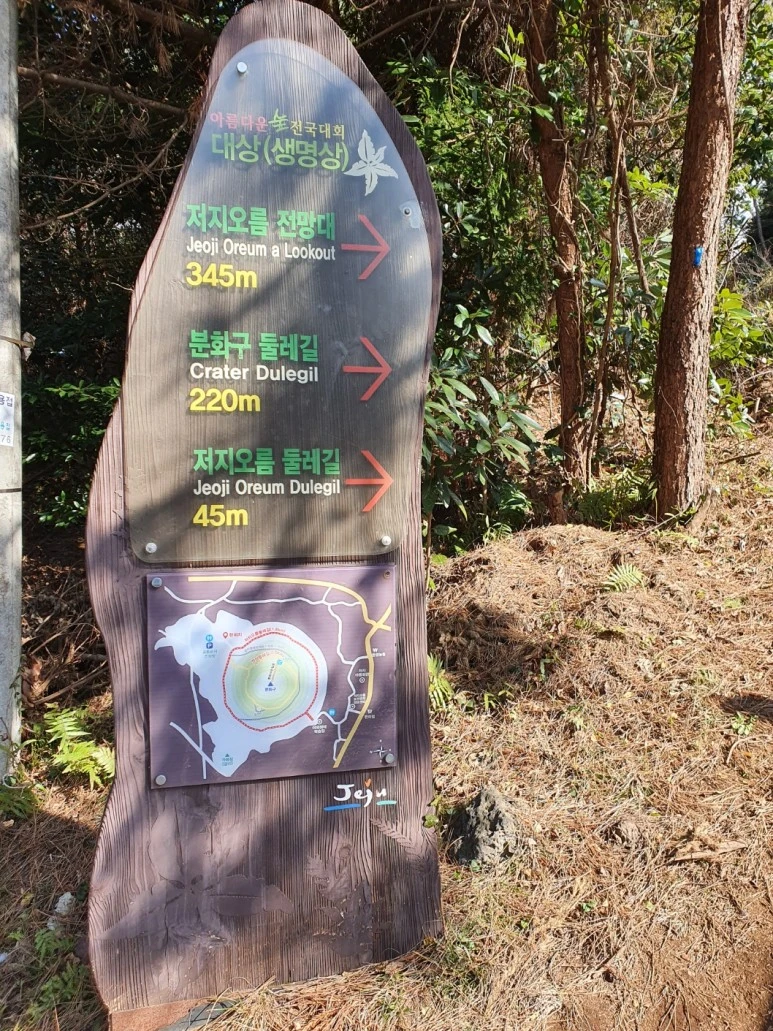 KakaoTalk_20240110_072930569.jpg?type=w773