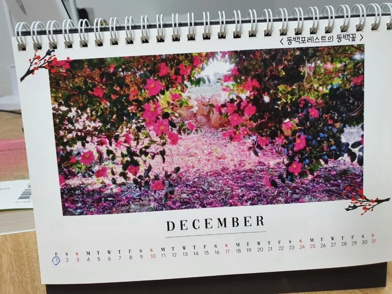 KakaoTalk_20231201_090923139.jpg?type=w773