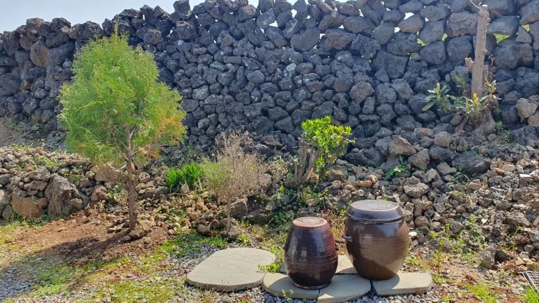 KakaoTalk_20250410_055731064_07.jpg?type=w773