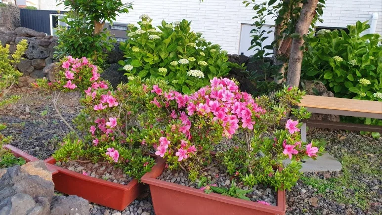 KakaoTalk_20250607_205121638_04.jpg?type=w773