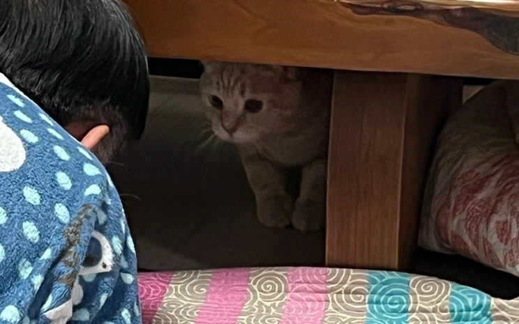 SE-41a7eac6-3abf-4ed4-baac-1e6d3a325544.jpg?type=w773