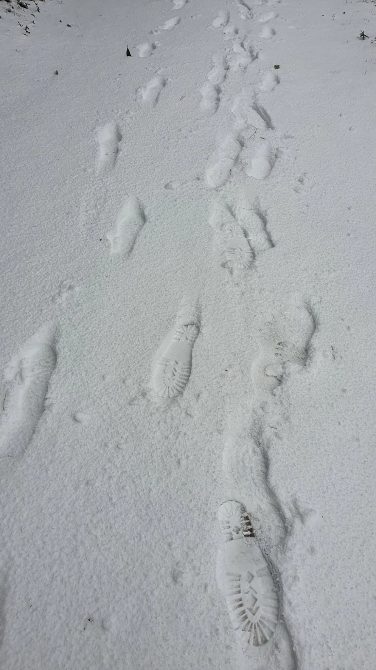 KakaoTalk_20240126_062454874_07.jpg?type=w773