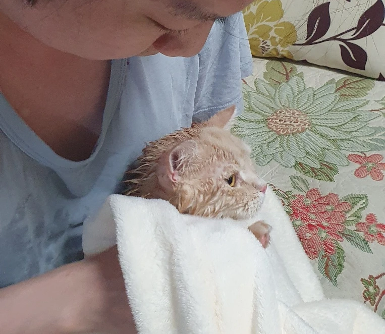 SE-18b609da-ea5e-4466-9b7a-d23fa0a2430b.jpg?type=w773