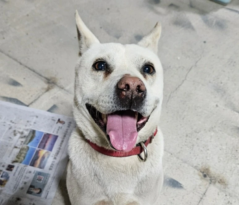 SE-546f26d0-d87e-4e32-a8a3-42484e91e9a7.jpg?type=w773