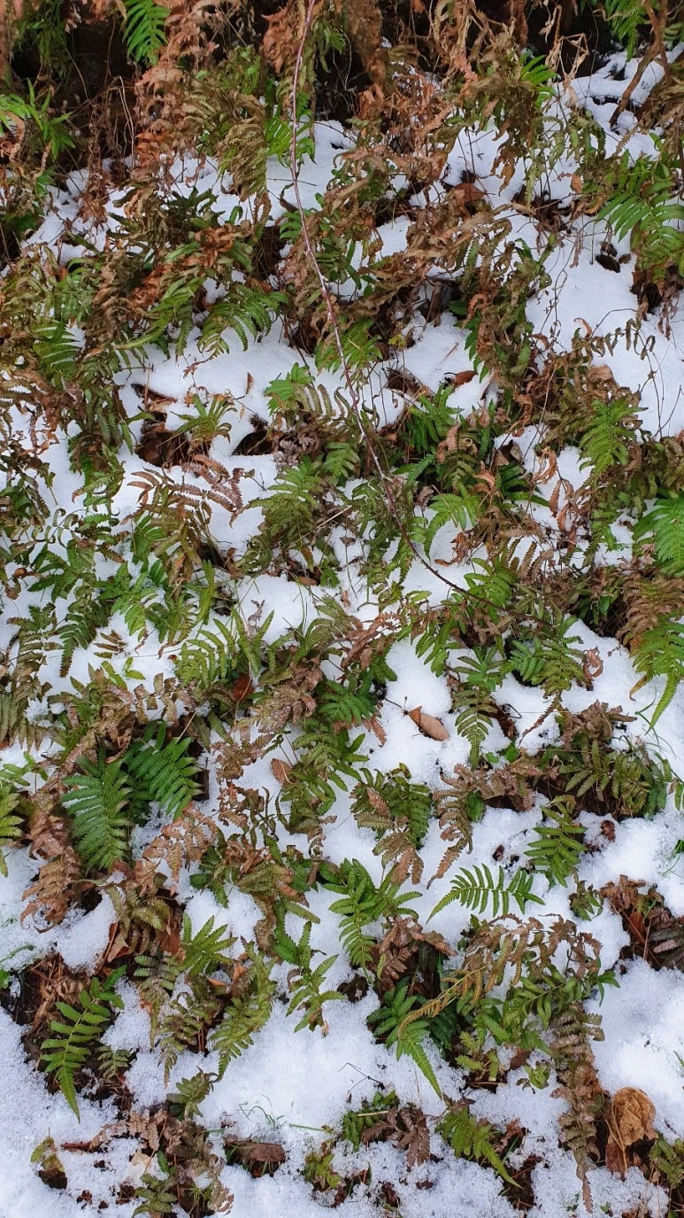 KakaoTalk_20240126_062454874_09.jpg?type=w773